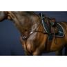 Vorderzeug Anatomisch New English Collection Dy'on Brown