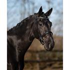 Vorführtrense Vesta QHP Black