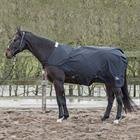 Walker Rug Harry's Horse 600D 0gr Black