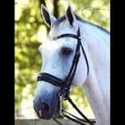 Weymouth Bridle Dy'on Working Collection matt Black
