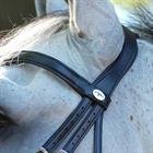 Weymouth Bridle Dy'on Working Collection matt Black