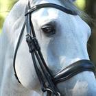 Weymouth Bridle Dy'on Working Collection matt Black
