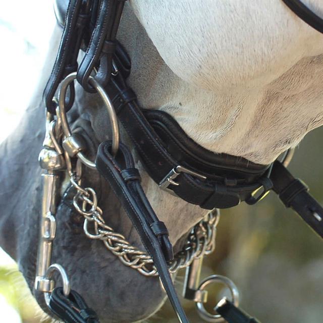 Weymouth Bridle Dy'on Working Collection matt Black