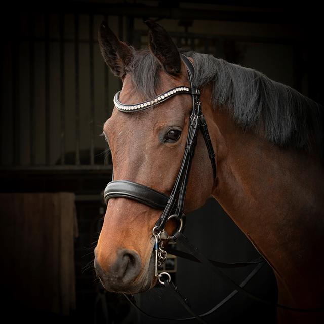 Weymouth Bridle Harry's Horse Weymouth Soft Crystal Black