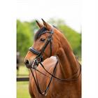 Weymouth Bridle HB Showtime All You Needed Black-Blue