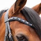 Weymouth Bridle HB Showtime All You Needed Black-Blue