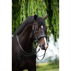 Weymouth Bridle HB Showtime Special For You Black-Black