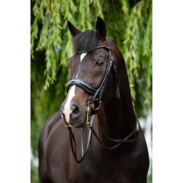 Weymouth Bridle HB Showtime Special For You Black-Black