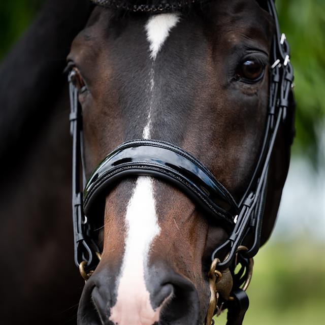 Weymouth Bridle HB Showtime Special For You Black-Black