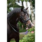 Weymouth Bridle HB Showtime Special For You Black-Blue