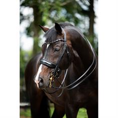 Weymouth Bridle HB Showtime Special For You Black-Blue