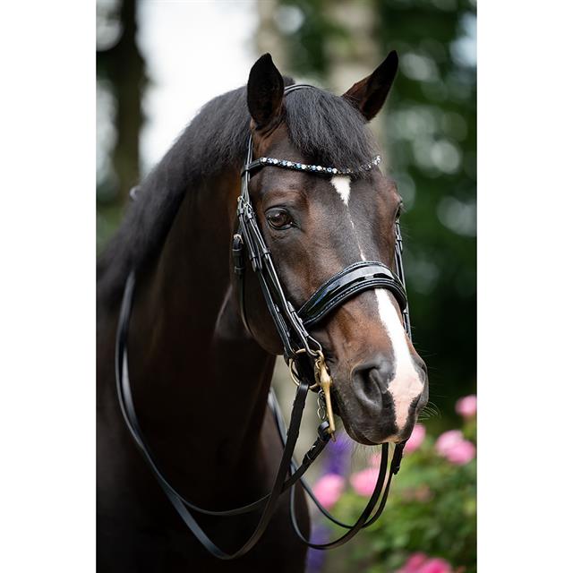 Weymouth Bridle HB Showtime Special For You Black-Blue