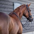 Weymouth Bridle PresTeq FayPerform Black