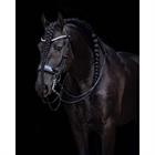 Weymouth Bridle PresTeq FayPerform Shine Black