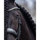 Weymouth Bridle PresTeq FayPerform Shine Black