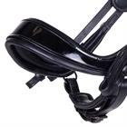 Weymouth Bridle PresTeq FayPerform Shine Black