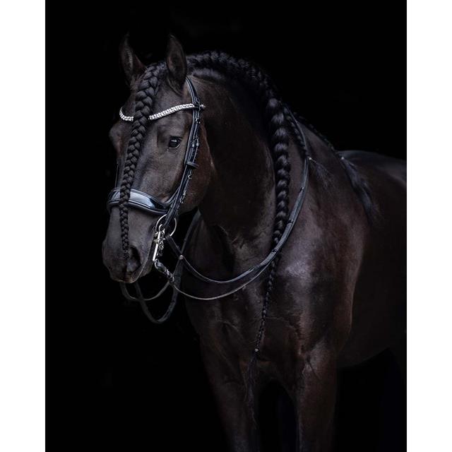 Weymouth Bridle PresTeq FayPerform Shine Black