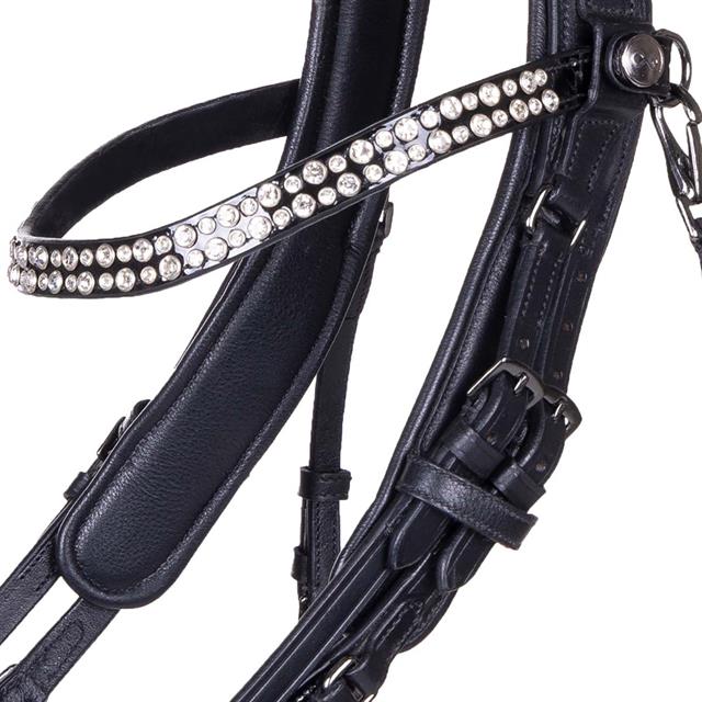 Weymouth Bridle PresTeq FayPerform Shine Black