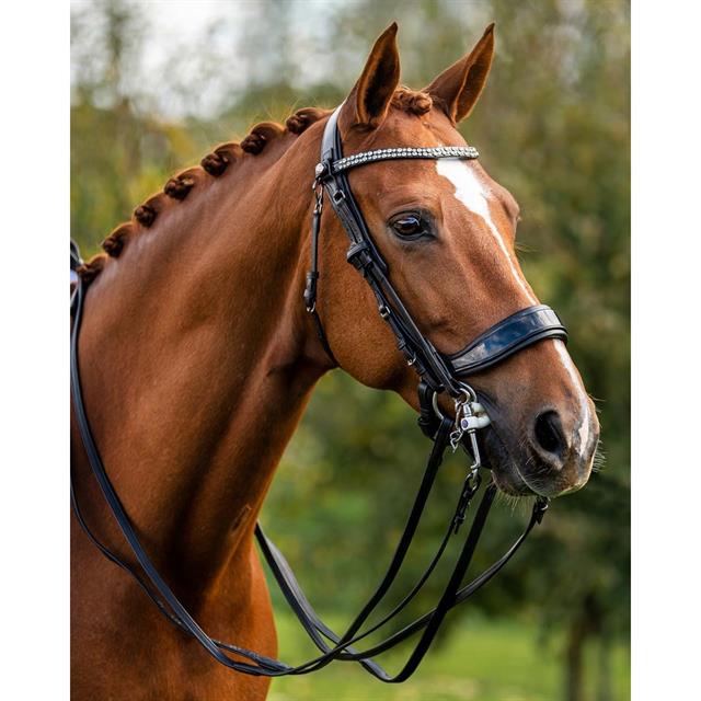 Weymouth Bridle PresTeq FayPerform Shine Black