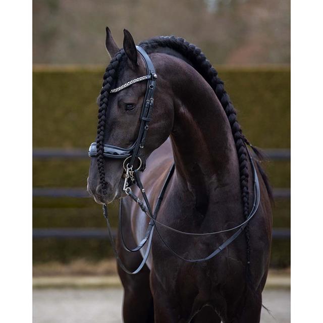 Weymouth Bridle PresTeq FayPerform Shine Black