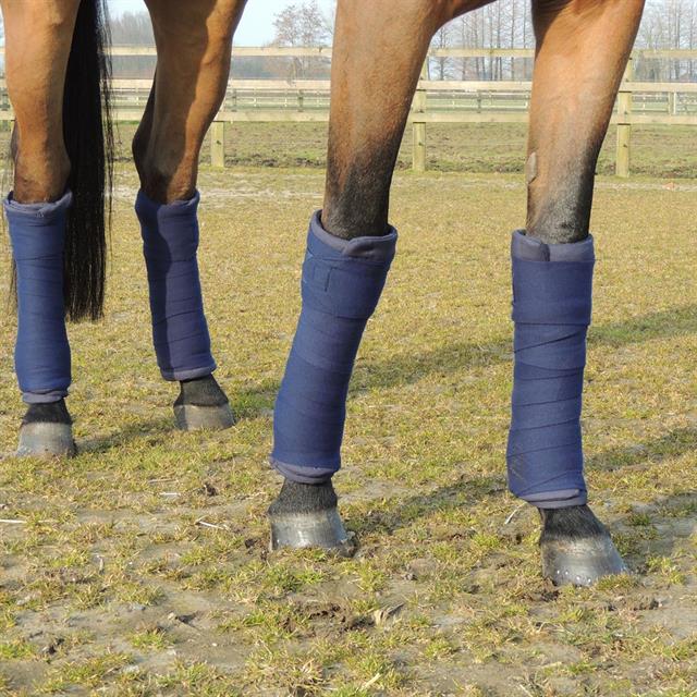 Wool Bandages Kentucky Dark Blue